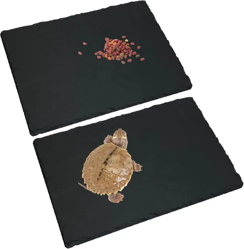 Vista 8 de Tfwadmx Plataforma para tomar el sol de reptiles, plato de alimentación de tortuga, cuenco de comida de reptiles de roca natural, decoración