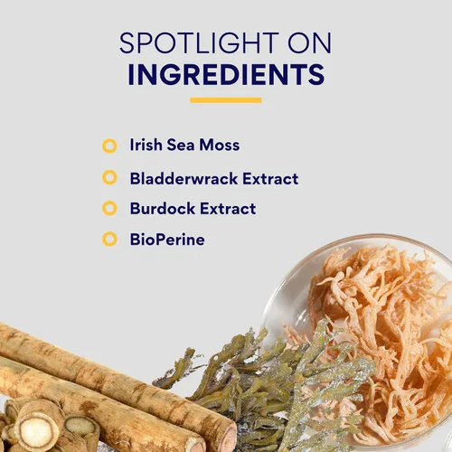 Vista 5 de Research Verified Musgo marino irlandés - Bladderwrack, bardana, bioperina, rico en prebióticos, aumenta la inmunidad, ayuda a la digestión - 60