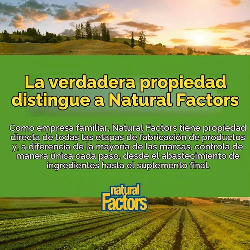 Vista 7 de Natural Factors Jengibre masticable 500 mg, 90