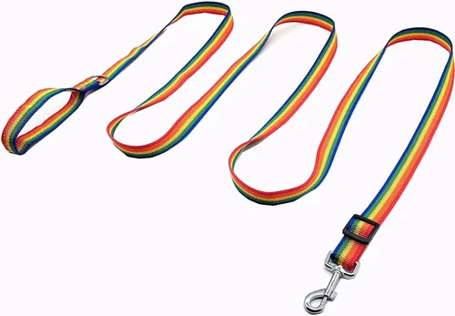 Vista 12 de TAIAN Correa ajustable de nailon para perro, correas de perro de 6 pies de largo para perros medianos y grandes