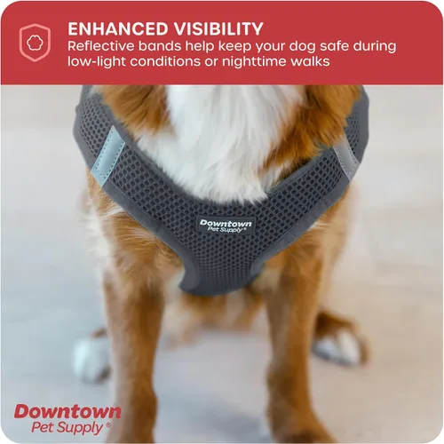 Vista 66 de Downtown Pet Supply Arnés para perro Step-in – Sin tirones, malla acolchada ajustable con ribete reflectante, correa de hebilla segura – Arnés