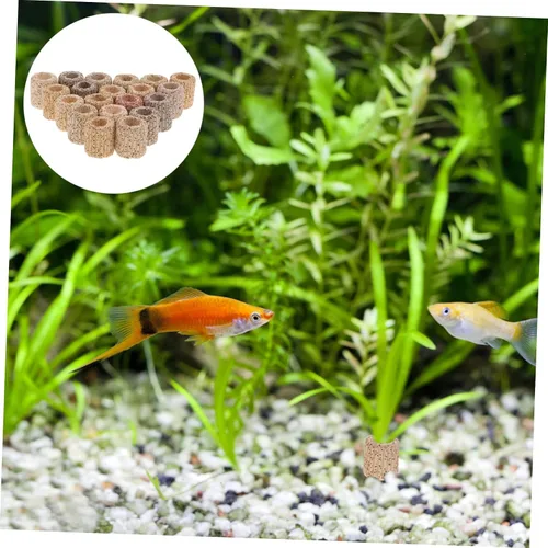 Vista 4 de TEHAUX Soporte para plantas de acuario, 20 unidades, anillo fijo de cerámica, para fijación de plantas de agua, color aleatorio