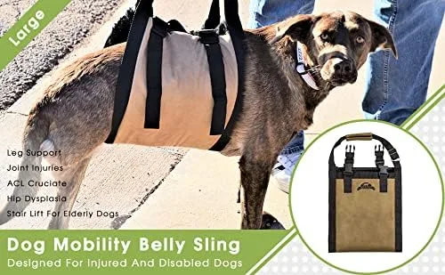 Vista 4 de Arnés de elevación para perros – Arnés de apoyo para perros – Elevador de escaleras para perros – Elevador de coche para perros discapacitados