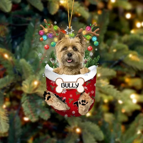 Vista 229 de IZI POD Affenpinscher Adorno de Navidad personalizado para perro, adorno de bolsillo de nieve para perro para árbol de Navidad, adorno acrílico