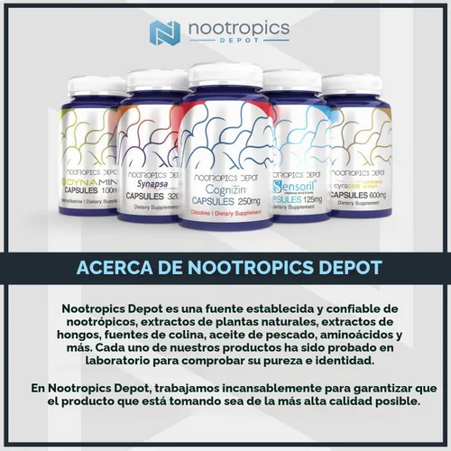 Vista 4 de Nootropics Depot Cápsulas de monofosfato de uridina 120 unidades 250 mg