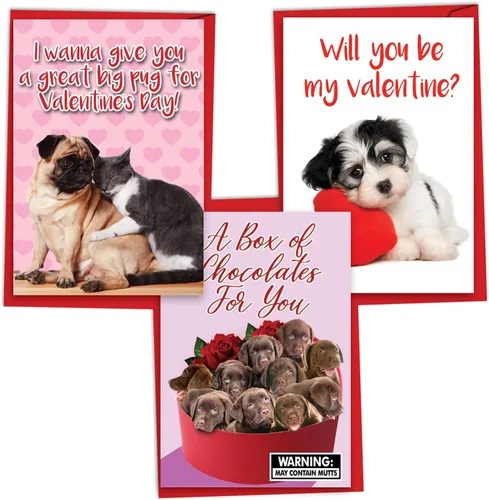Vista 13 de NobleWorks - Paquete de 3 tarjetas de felicitación del día de San Valentín con sobres, divertidos juegos de palabras de amor para hombres y mujeres