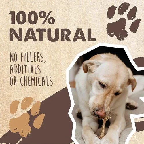 Vista 3 de Mighty Paw Orejas de vaca 100% naturales sin blanquear para perros, un solo ingrediente, orejas de vaca para perros, golosinas masticables adecuadas