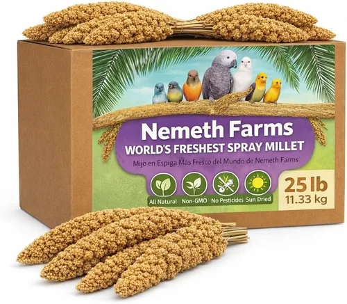 Vista 12 de Nemeth Farms Spray Millet - Tapas comestibles solamente, sin OMG y secado al sol, 1 libra para periquitos, canarios y pinzones
