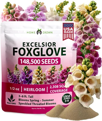 Vista 78 de HOME GROWN Bachelor Button Tall Mix 700+ Semillas de flores Centaurea