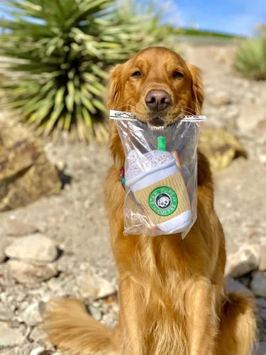 Vista 5 de Nestpark Parody Star Pups - Juguete de café para perros Pup'kin Spice Latte – Divertido juguete de felpa chirriante para perros medianos, pequeños