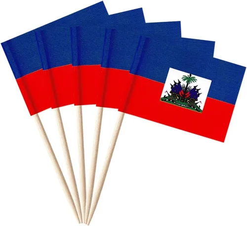 Vista 8 de stidsds 100 banderas de Antigua y Barbuda con palillos de dientes de Antigua y Barbuda, mini adornos pequeños para cupcakes de Antigua y Barbuda