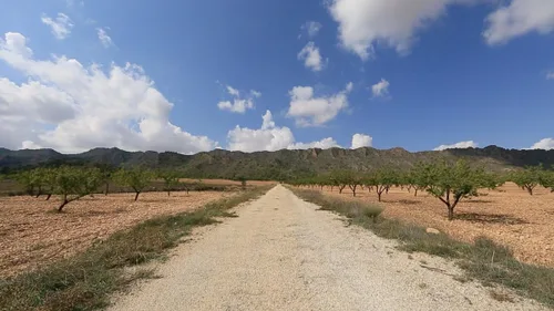 Vista 3 de Paseos virtuales en bicicleta - Olivos Groves Spain - Para entrenamiento en interiores, cinta de correr y correr