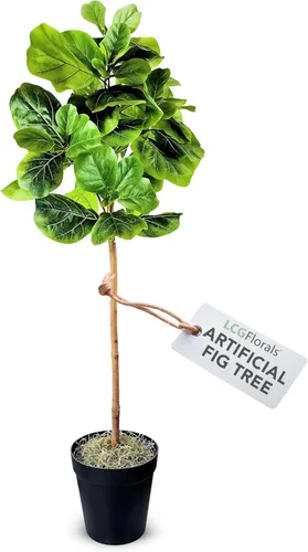 Vista 12 de LCG Florals - Árbol artificial de higuera de hoja de violín de 3.2 pies - Tronco de madera real, preensamblado, sin mantenimiento, planta artificial