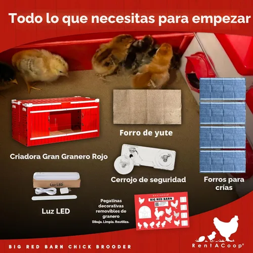 Vista 5 de RentACoop Big Red Barn Chick Brooder