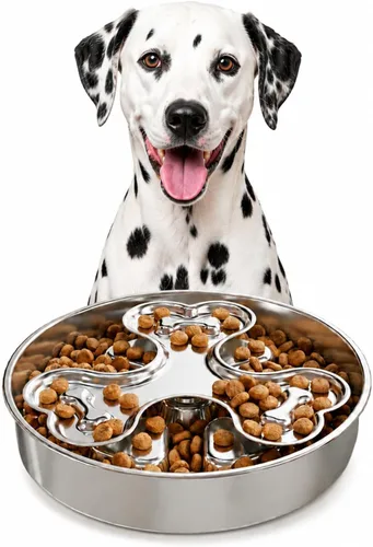 Vista 8 de Kactoily Cuencos para perros de alimentación lenta del acero inoxidable 304 Cuenco de acero inoxidable + base de silicona gris