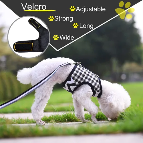 Vista 2 de Teacup - Juego de arnés y correa para perro pequeño para invierno, chaleco acolchado suave ajustable para taza de té, chihuahua, caniche, yorike