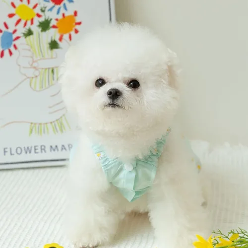 Vista 6 de Vestido de princesa elegante para perros pequeños, vestidos para perros y niñas, vestidos ligeros para mascotas
