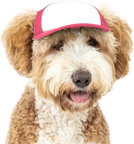 Vista 37 de DIY PupLid Trucker Hats (negro/blanco, XXS) - Sombrero de perro personalizable, lona en blanco para diseño personalizado, ajustable, protección