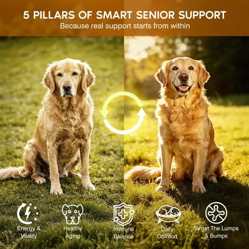 Vista 5 de Hongo de cola de pavo para perros, suplemento para perros mayores para grumos, protuberancias y lipoma, masticables suaves con Reishi, Maitake