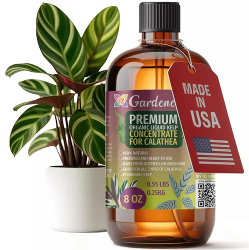 Vista 57 de GARDENERA Superalimento orgánico prémium de algas marinas y algas marinas para plantas AROID - 32 oz - Concentrado de fertilizante líquido de algas