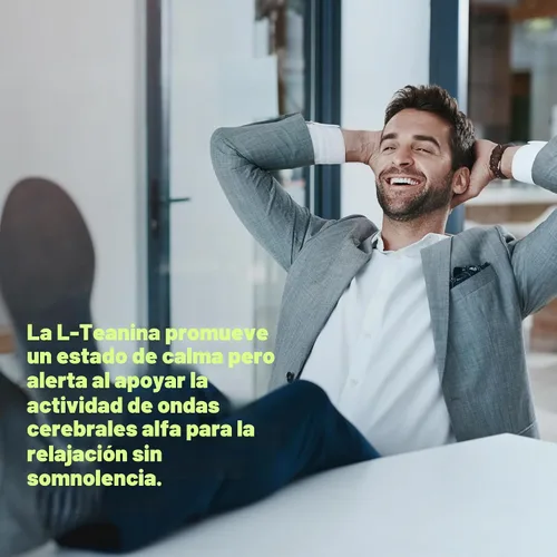 Vista 4 de L-teanina 400 mg, 400 cápsulas – Suplemento de teanina extra fuerte – Aminoácidos para apoyo de concentración y relajación – Sin OMG y sin gluten