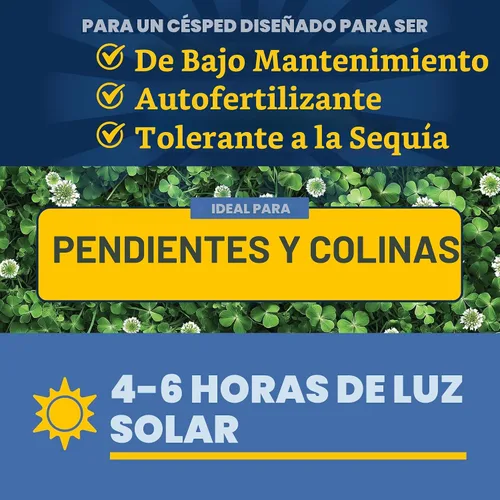 Vista 9 de Pennington Smart Seed - Mezcla de trébol y césped, 7 libras