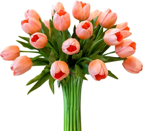 Vista 6 de Real Touch Mesa Tulipán Flores Artificiales Tallo Floral 6 piezas, Decoración del Hogar, Comedor, Sin Jarrón 6 Piezas (blanco)