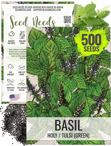 Vista 23 de Seed Needs Semillas de albahaca italiana para plantar hierbas tradicionales sin OMG, 1 paquete