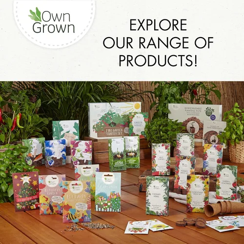 Vista 7 de OwnGrown Juego de cestas colgantes: 4 perchas de macramé de 37.5 pulgadas de largo - Soporte de macramé de algodón para macetas colgantes de 3 a 7.8