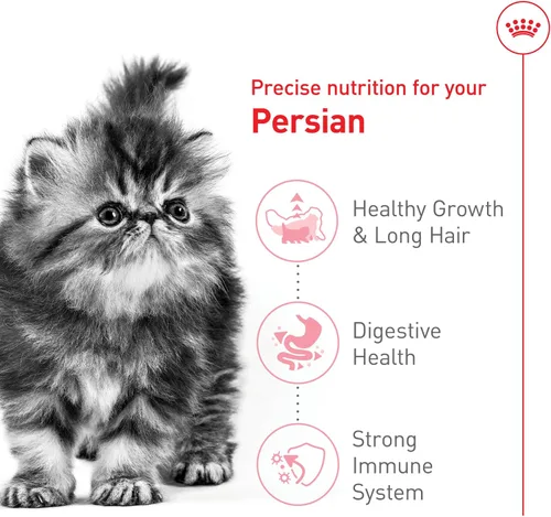 Vista 4 de Comida seca para gatitos persas de Royal Canin Nutrición para razas felinas, bolsa de 3 libras
