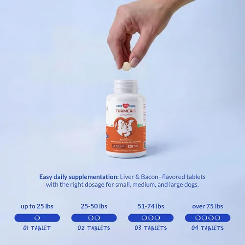 Vista 6 de Cúrcuma para perros - Antiinflamatorio natural y alivio del dolor, 120