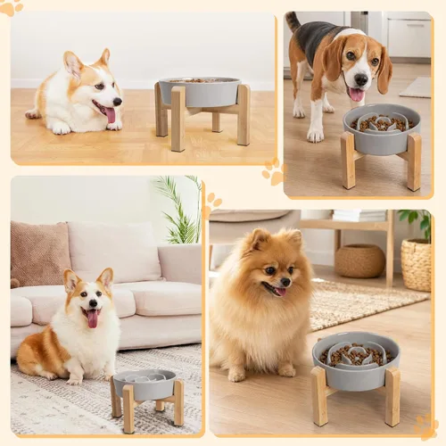 Vista 6 de Cuenco elevado para perros de alimentación lenta, cuenco de cerámica para Gris