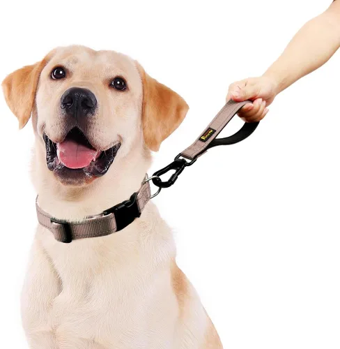 Vista 2 de PLUTUS PET Correa corta para perro, mango acolchado de nailon reflectante, correa de tráfico fuerte con clip de mosquetón, perfecta para perros Beige