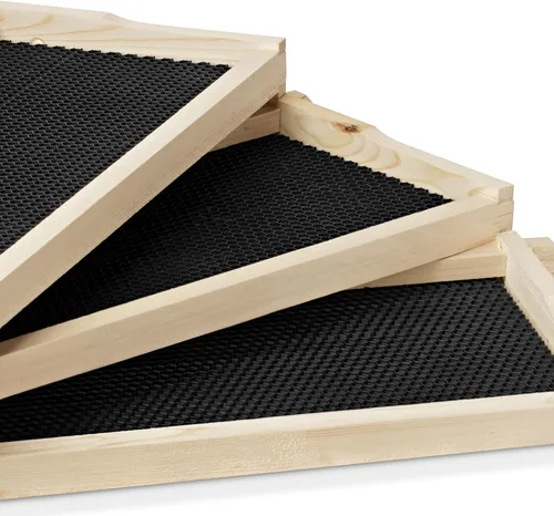 Vista 4 de Honey Keeper Kit de 10 marcos de colmena de cera de abeja 100% y 10 marcos profundos con bases para apicultura Langstroth