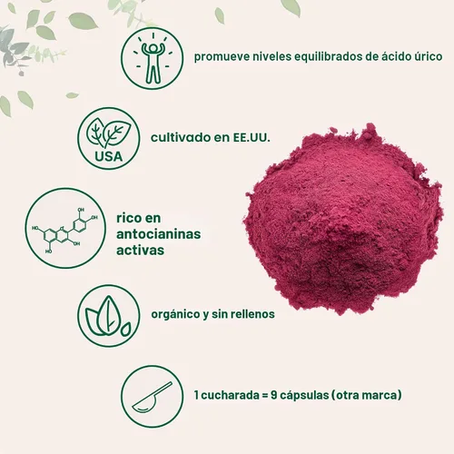 Vista 3 de Micro Ingredients - Polvo de cereza ácida orgánica, 4 onzas, cultivo sostenible en EE. UU., limpia ácido úrico, antioxidantes y flavonoides