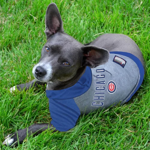 Vista 2 de MLB PET Apparel. - Camisetas de béisbol con licencia, camisetas, chaquetas de dugout, camisetas CAMO, camisetas con capucha y camisetas rosas