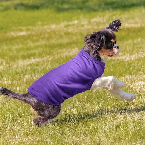 Vista 6 de 8 camisas de invierno para perro, ropa en blanco para cachorros, camiseta suave para perro, transpirable, lisa, para mascotas, camisas de algodón