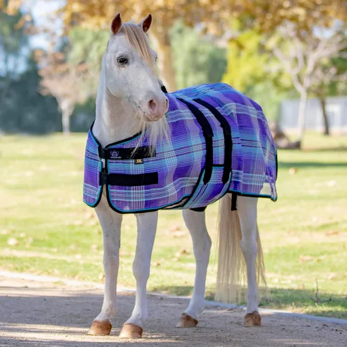 Vista 2 de Kensington KPP cobija para caballos pequeños