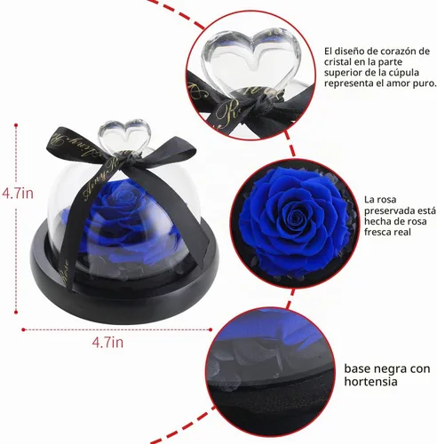 Vista 7 de SW Rosa azul real preservada para siempre en cúpula de cristal, diseño