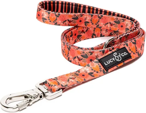 Vista 6 de Correa para perros de diseño Lucy & Co. - Accesorios para mascotas - Correa gruesa para perros - Asa acolchada para mayor comodidad - Entre