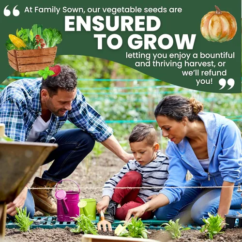 Vista 6 de 20 paquetes de semillas de verduras Paquete variado de supervivencia Temporada 2026 Verduras, hierbas y frutas empaquetadas individualmente