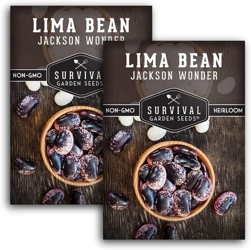 Vista 10 de Jackson Wonder - Semillas de frijol de mantequilla moteadas para plantar, 1 paquete Frijoles Lima Heirloom, variedad cremosa del sur, vainas