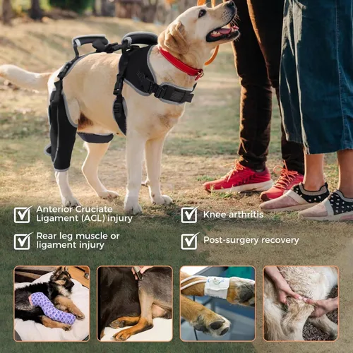 Vista 5 de Soporte ajustable para perro ACL Brace pata trasera pierna derecha-mejorada/talla L
