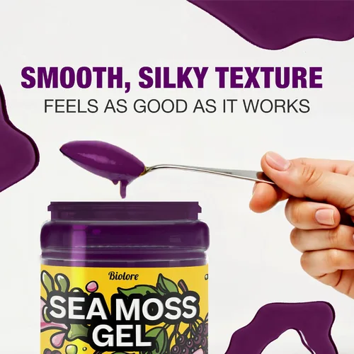 Vista 6 de Biolore Gel de Musgo Marino – Saúco, Hecho en EE.UU., Sin Azúcar Añadido, Rico en Vitaminas y Minerales, Superalimento Vegano, Mermelada y Untable
