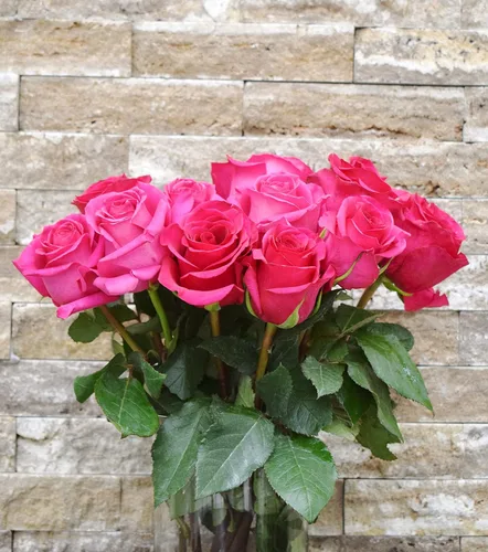 Vista 3 de Greenchoice Flowers - Rosas