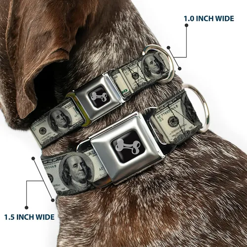 Vista 2 de Buckle-Down Collar de perro con hebilla de cinturón de seguridad, billetes de 100 dólares, 1 pulgada de ancho, se adapta a cuello de 9 a 15