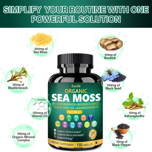 Vista 3 de Cápsulas de musgo marino irlandés Bualle – Suplementos de musgo marino orgánico, aceite de semilla negra, ashwagandha con fucus, jengibre y raíz