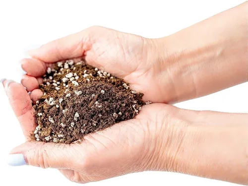 Vista 4 de GARDENERA Mezcla de tierra para macetas prémium para plantas de jade, 2 cuartos de galón, una combinación perfecta de ingredientes orgánicos para un