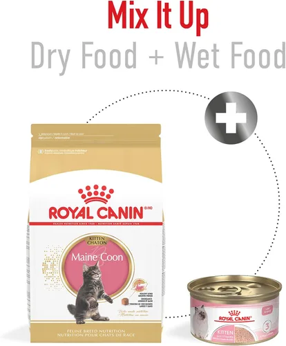 Vista 5 de Comida seca para gatitos persas de Royal Canin Nutrición para razas felinas, bolsa de 3 libras
