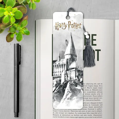 Vista 2 de Harry Potter - Papelería con marcapáginas ilustrado Premier